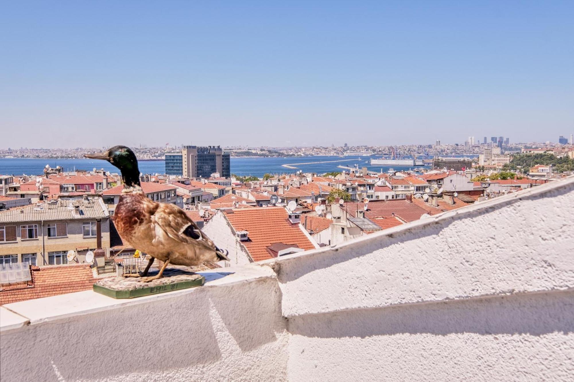 Duck Otel Provincia di Provincia di Istanbul Esterno foto